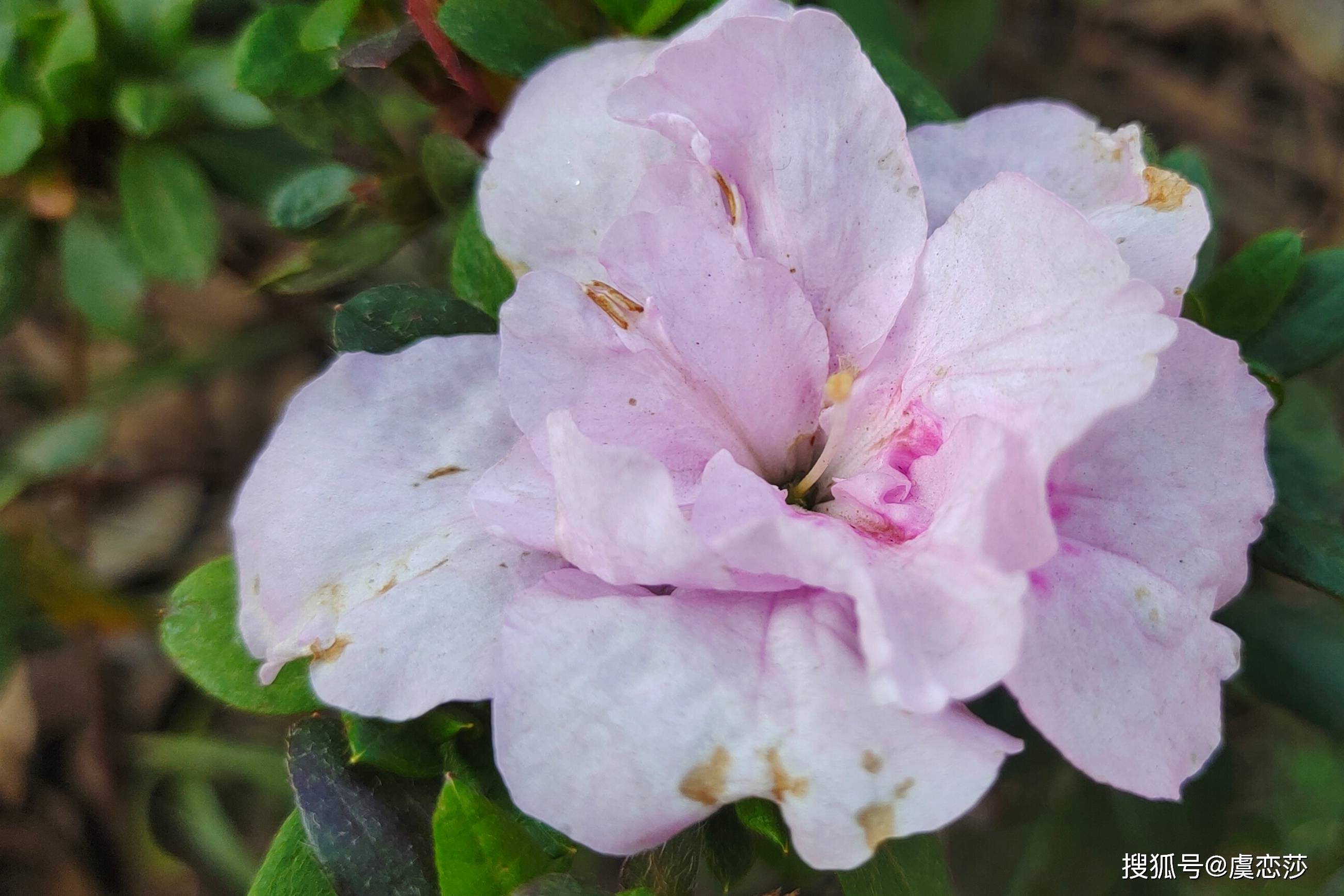 从外遇到不归家，男人糊里糊涂做了3件事