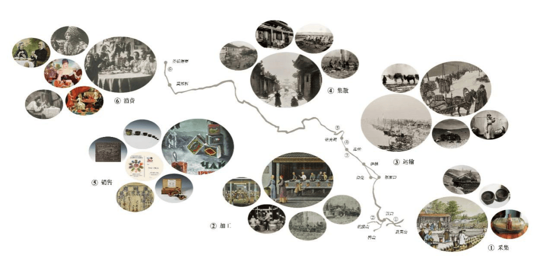 博古知今|万里茶道的历史智慧