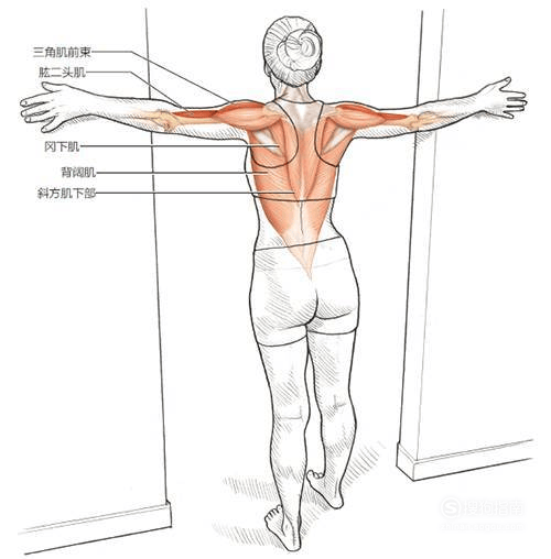 14种运动后各部位拉伸图解，一篇全搞定！