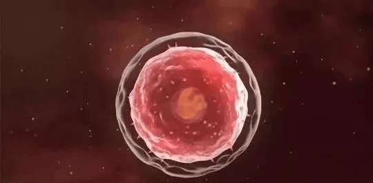 NK细胞——防癌抗衰的第一道防线