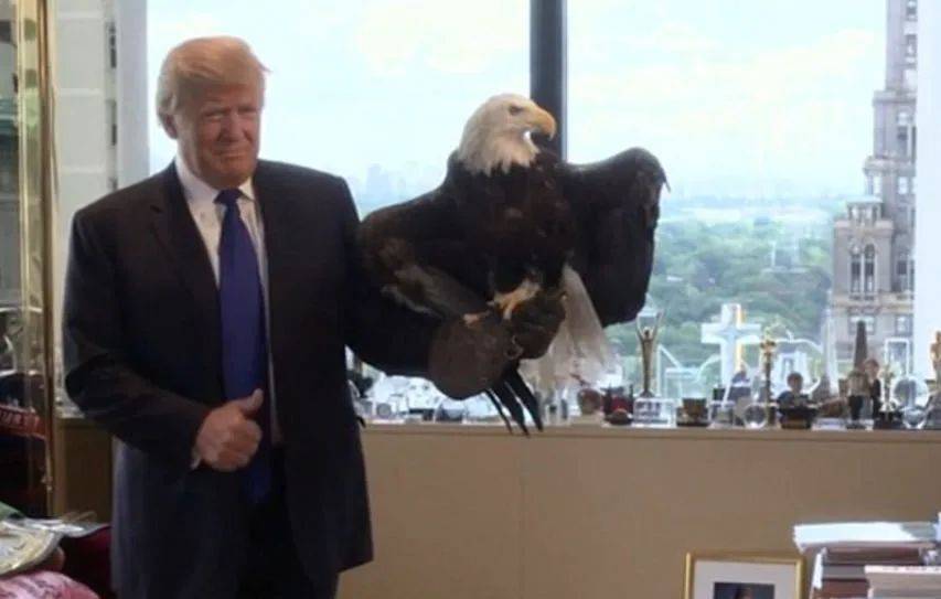 原创            耶伦再次站了出来，若是与中国对着干，就把美国自己给“打残”了