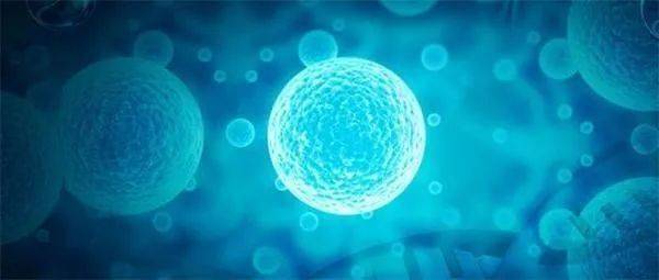 上海交大与中南湘雅联合研究：发现肺癌治疗新策略，有效抑制肿瘤生长