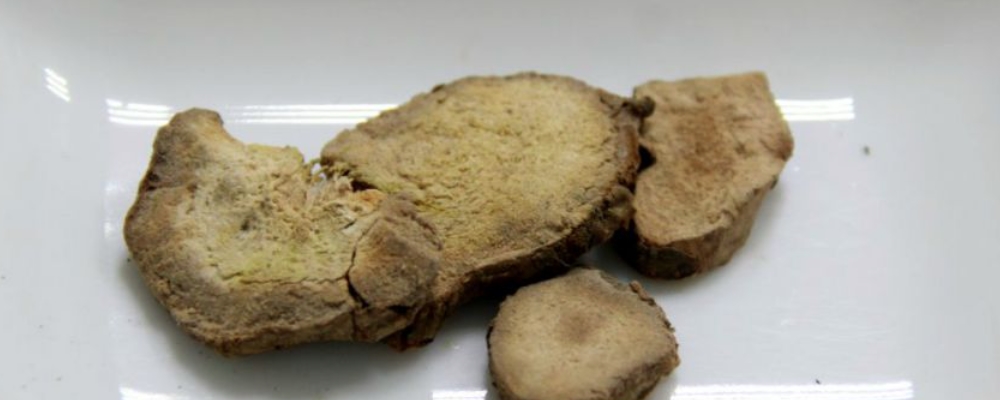 茯苓适合哪些人群食用 茯苓对男性性功能有什么帮助 吃茯苓有什么好处和功效
