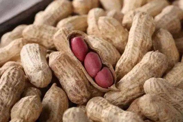经常吃花生好处多多，医生提醒：这2种人一口也不能多吃