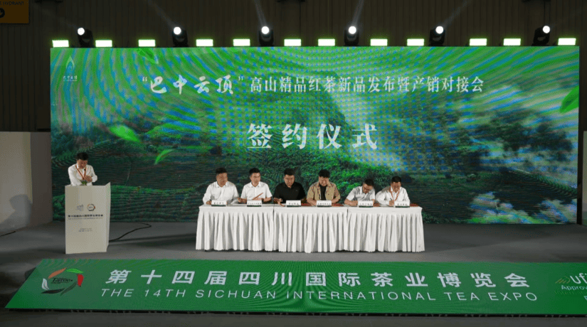 宜宾结对帮扶助力南江茶叶飘香