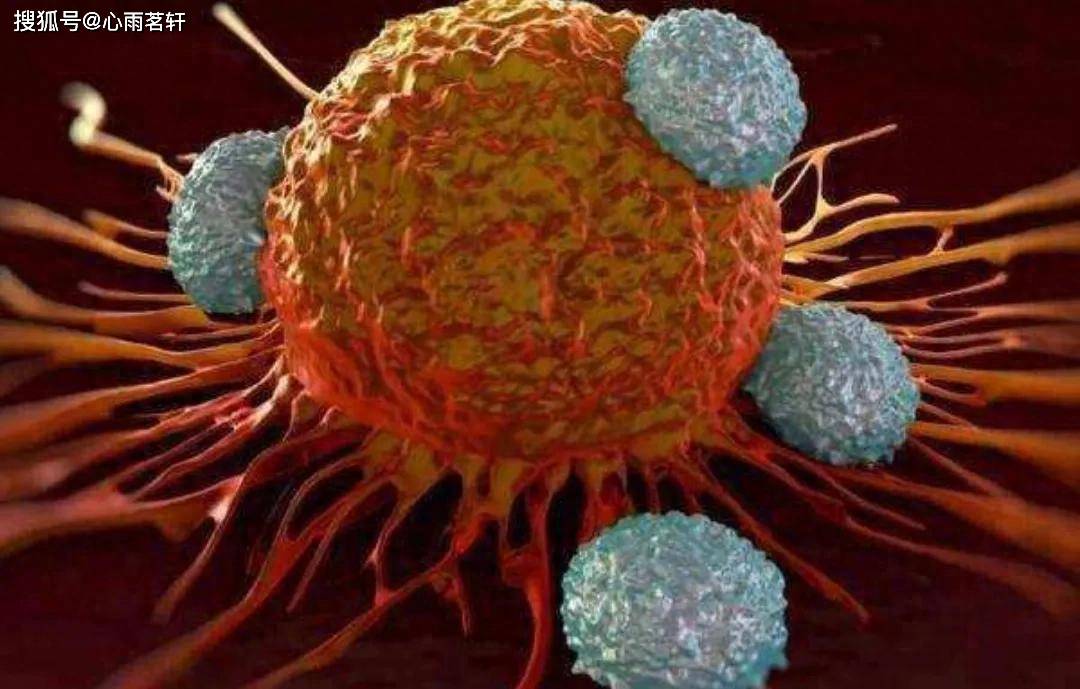 原创            癌症真相：肿瘤产生抗药性的关键是肿瘤的异质性