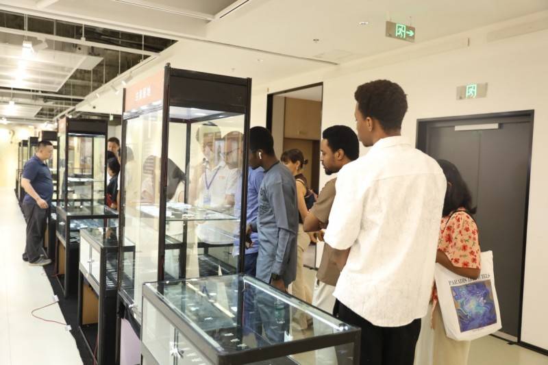 2025 第二届三亚・中国古玩暨钱币文化艺术博览会 圆满闭幕