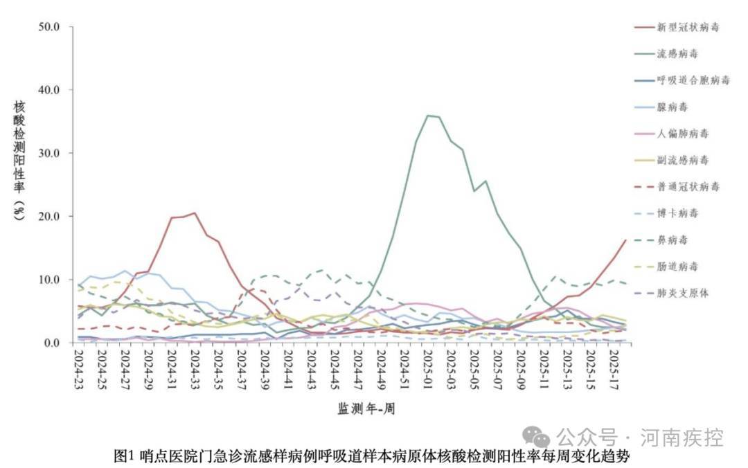 呼吸道病毒：看不见的“隐形杀手”如何防范？