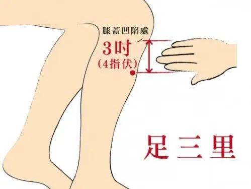 喝凉水都胖vs狂吃不胖？中医揭秘3种肥胖体质，对症调理瘦得快！｜杏林之声