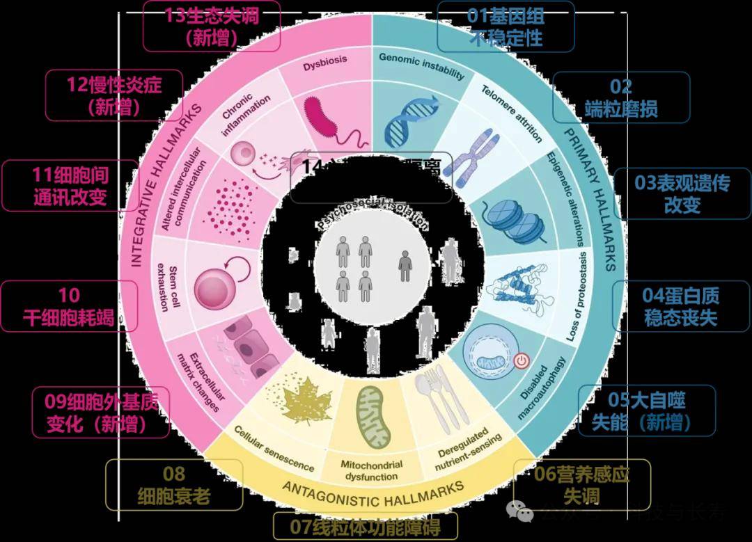 抗衰也要老带新，看看植提成分解决透皮力的招数还有什么？