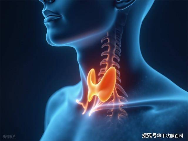 广东华楠医院：桥本氏甲状腺炎---女性高发的“隐形杀手”