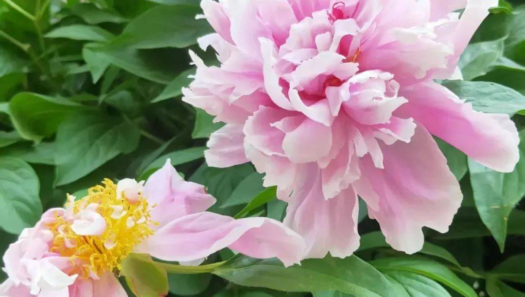 夏季要养护阳气