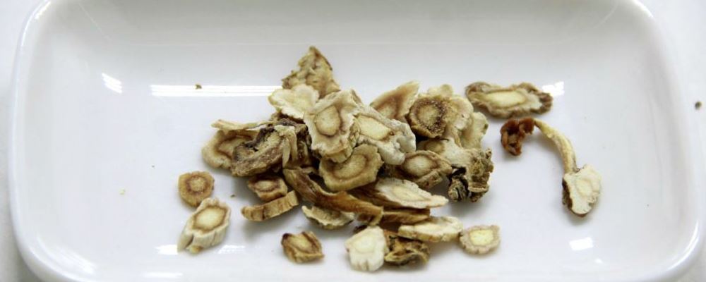 玉米须泡水喝的好处 玉米须泡水喝的功效和作用 玉米须泡水喝