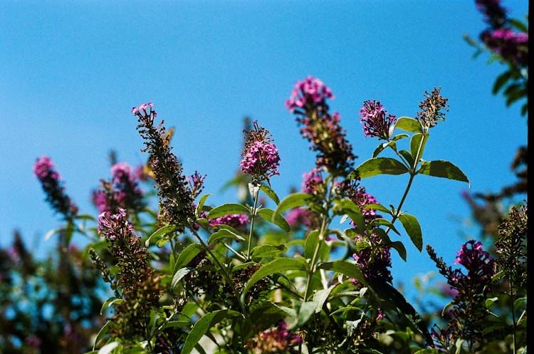 立夏后，少吃鸡肉和牛肉，多吃这3种肉，腿脚有力气，精神饱满！
