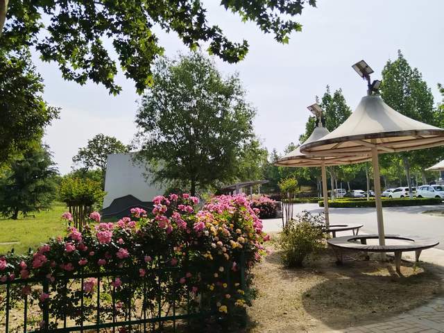 原创            妈妈不再唠叨着急讲道理，孩子的叛逆和摆烂消失了，开始主动学习