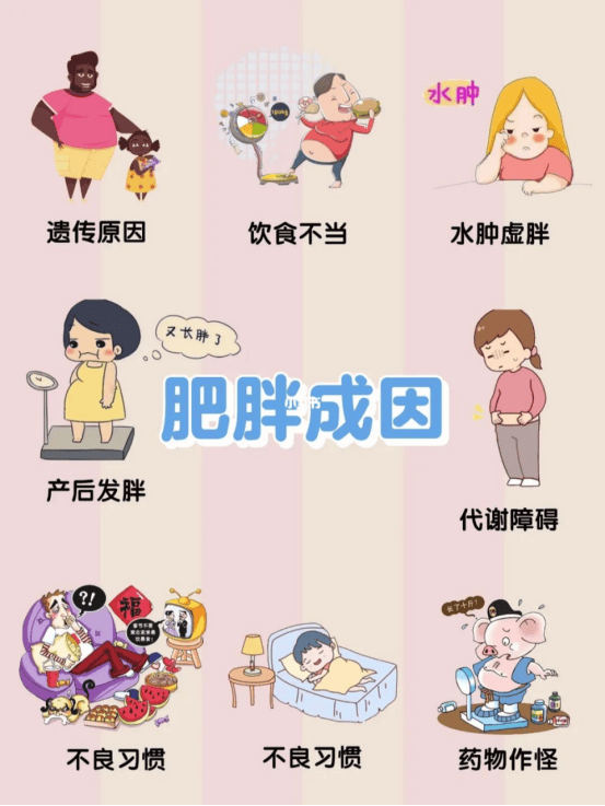 瀚宸健康解析：肥胖成因与科学减脂的底层逻辑