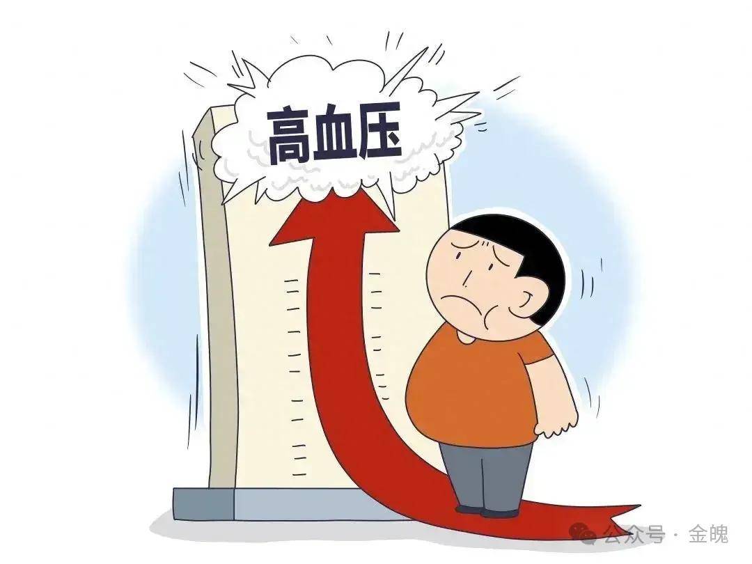 血压高别慌！做好这几点，告别 “沉默杀手”，护心养肾，开启健康长寿之路