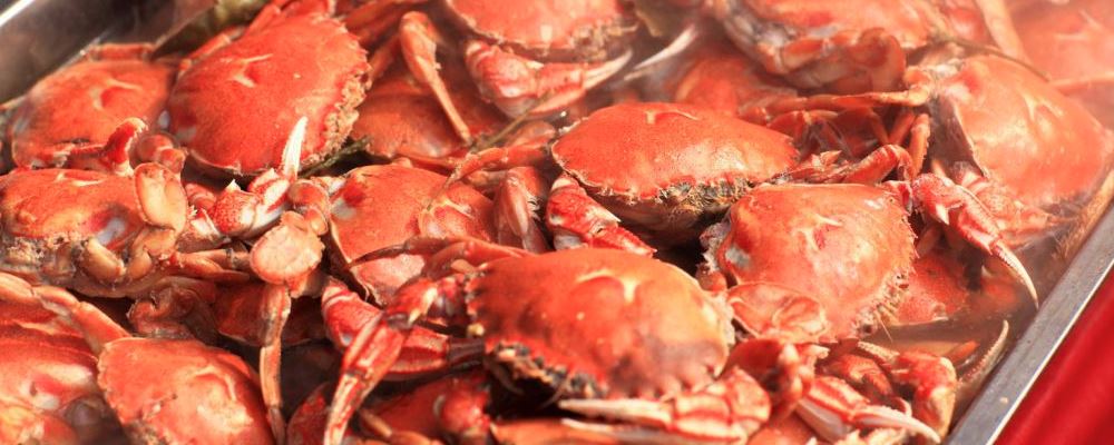 “吃螃蟹需注意啥？吃蟹的注意事项全在这里”