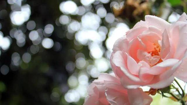 男人这样回复微信消息，可能是感情变淡的信号