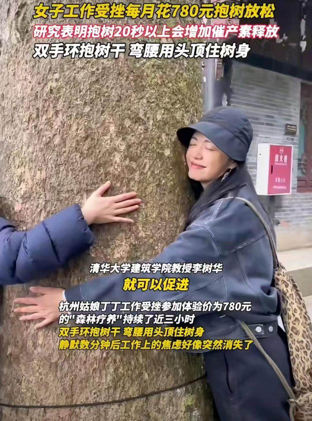 鱼眼·探问丨杭州女子780元“抱树”减压上热搜：是科学疗愈，还是心理安慰？
