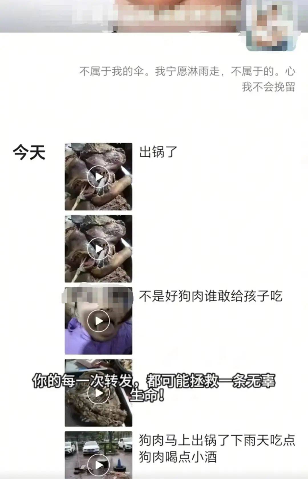 沈阳一店铺老板假借领养名义烹食流浪狗，警方回应