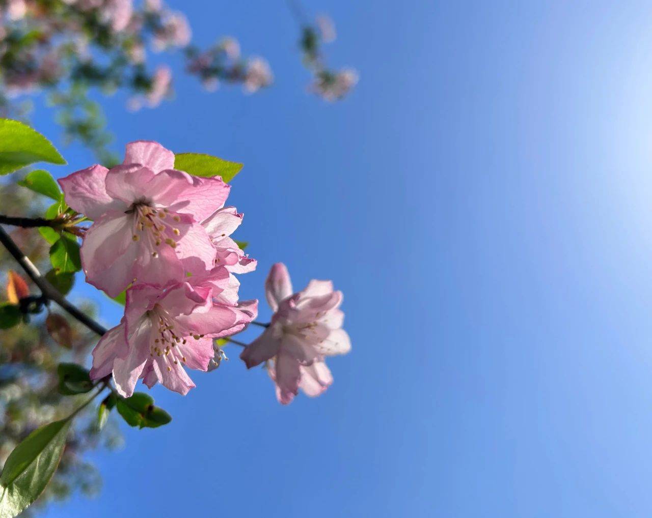 原创            男人背叛后，为什么会怨恨妻子，无非3种心理