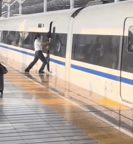 惊险！高铁关门，女子突然冲出被夹！最新通报
