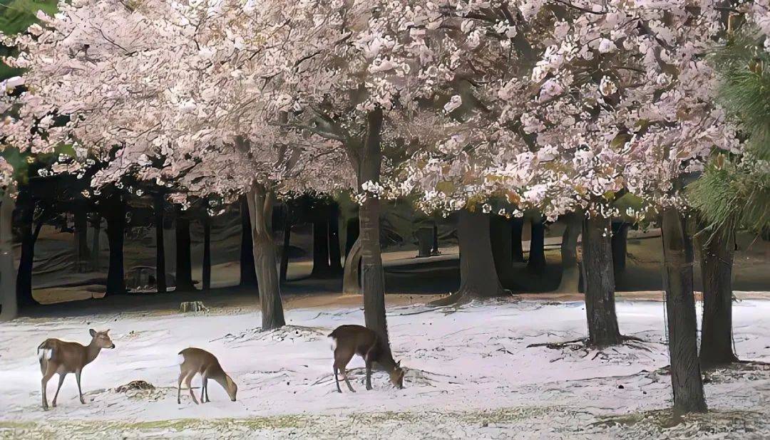 远离精神贫瘠者：论无能者的四大精神征候