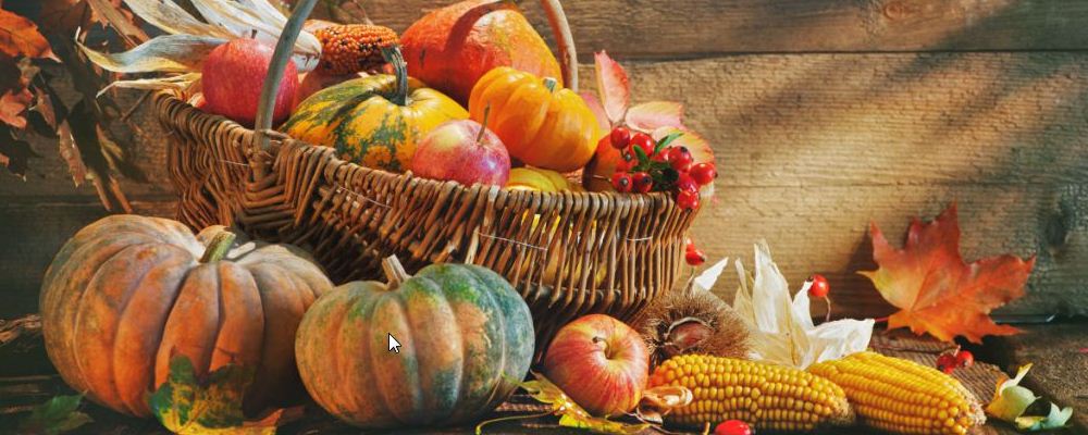 秋末冬初吃啥好？这些蔬菜养护身体超棒！