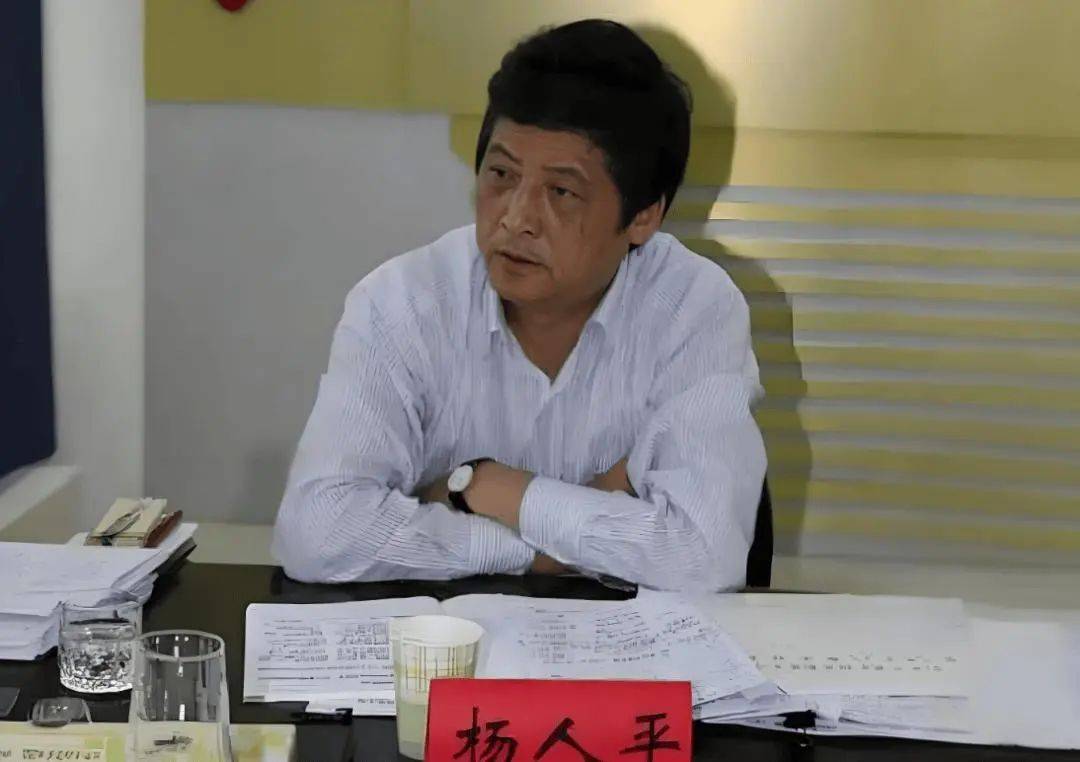 71岁杨人平，被查