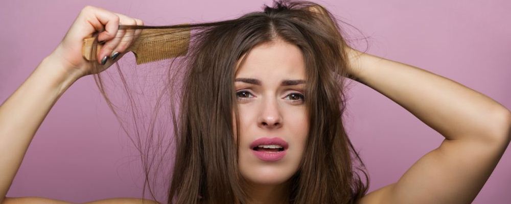 女性冬季手脚冰凉的食疗方案大揭秘！