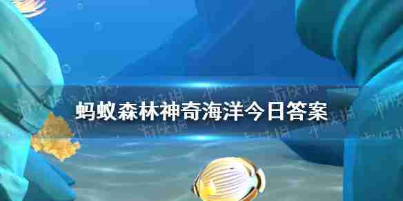 哪种海洋生物通常固着在海底生活 神奇海洋3月30日答案最新