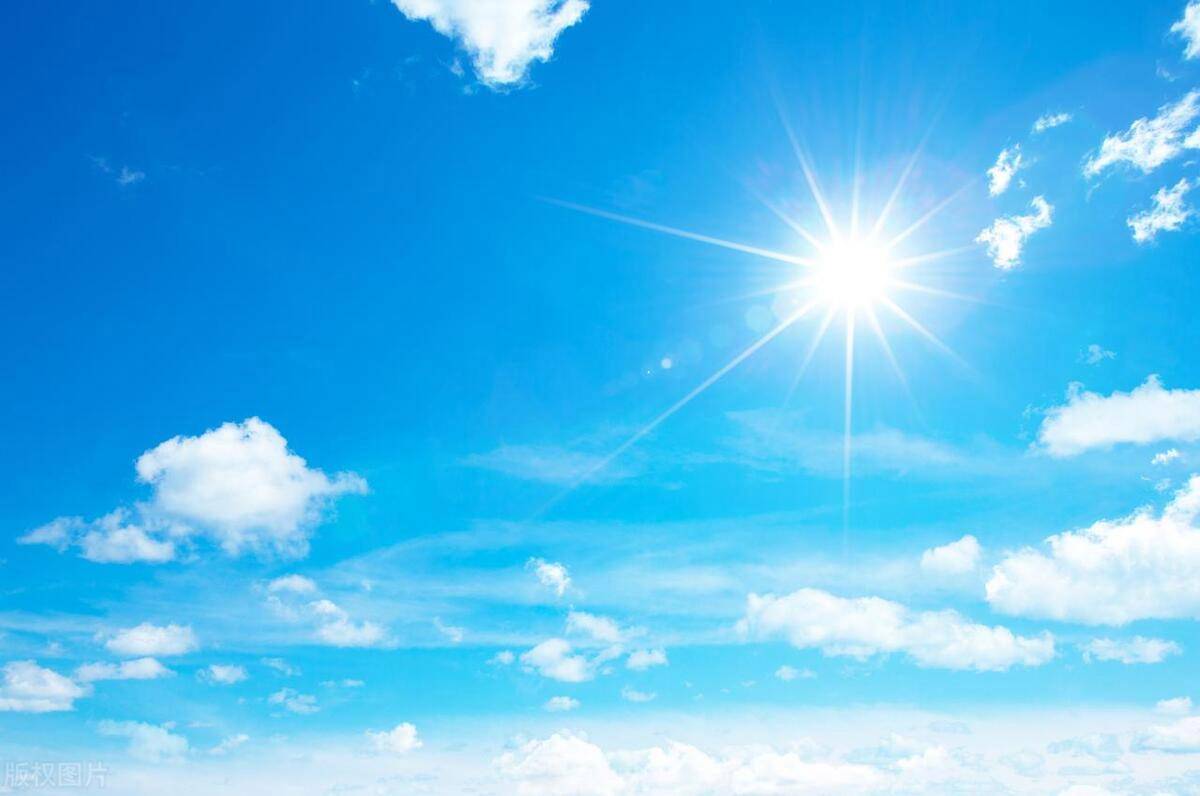 原创            “五月不排毒，一年身体堵”，端午后，4种天然“排毒菜”要多吃