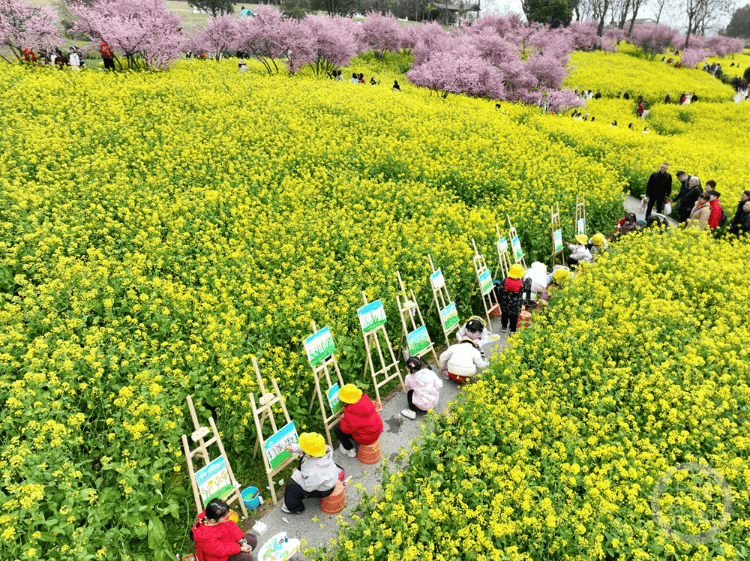 花间写生绘春光
