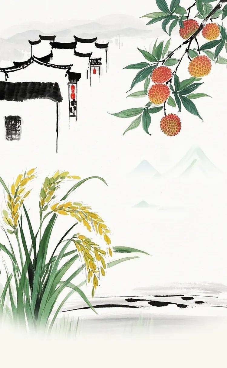 发表解暑、祛湿、止呕——广藿香