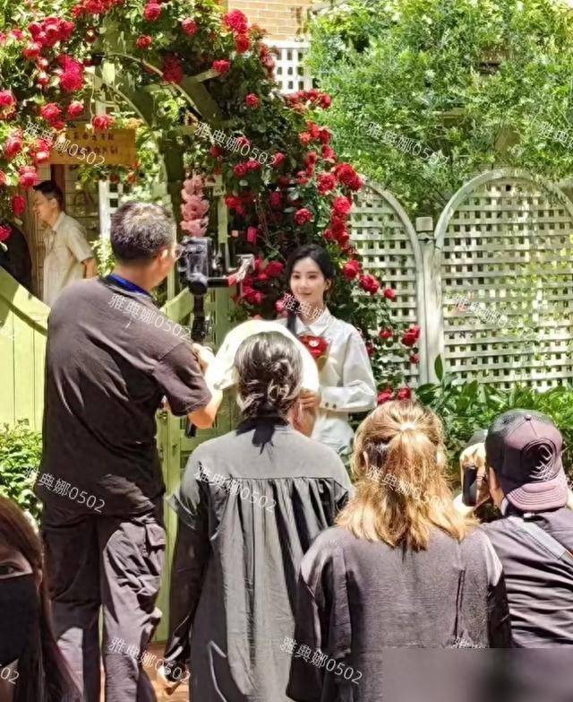 原创            诗诗撒贝宁同框录新综？这状态网友看傻了！