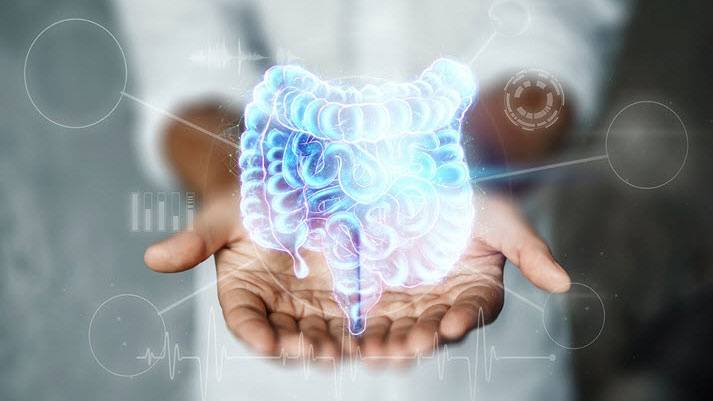 肠道菌群决定免疫强弱？癌症患者、帕金森人群都该注意的细节