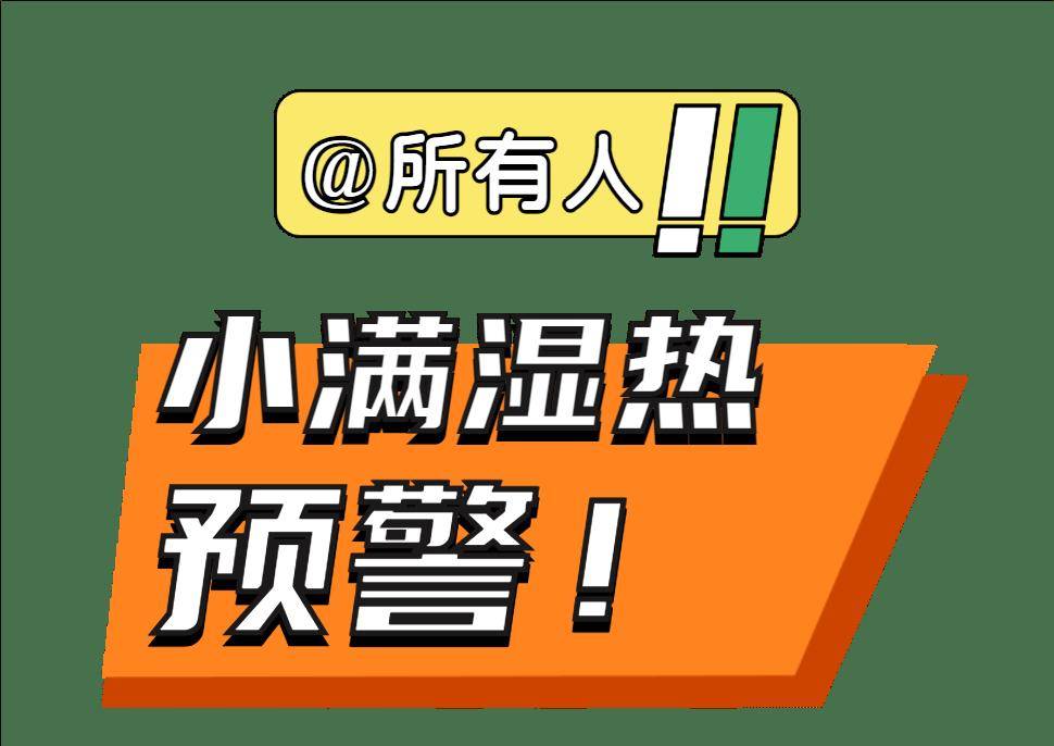 小满祛湿不躺平！9款"对症茶单"承包全家养生KPI