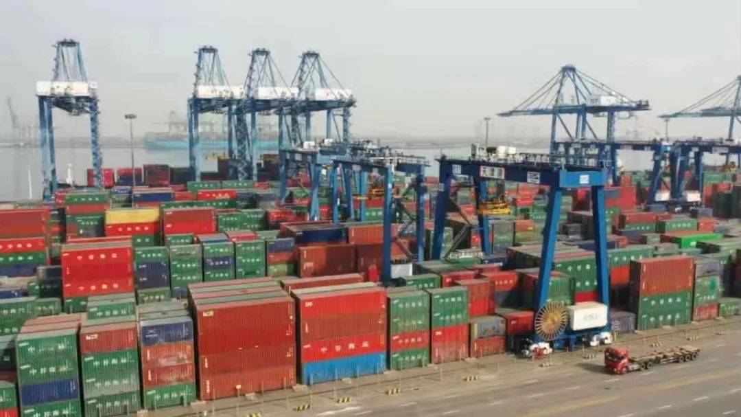 一站式搞定！进口茶叶报关全流程服务