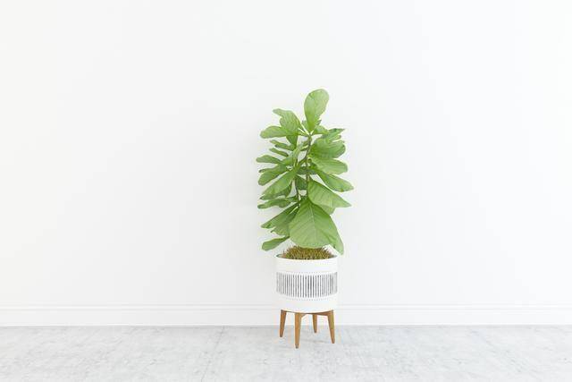 男人如此对你，是爱上其他人的征兆，别不懂