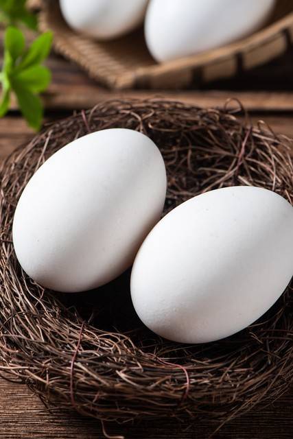 原创            鹅蛋价格“大不同”？揭秘背后不为人知的秘密，以及它的食疗“超能力”