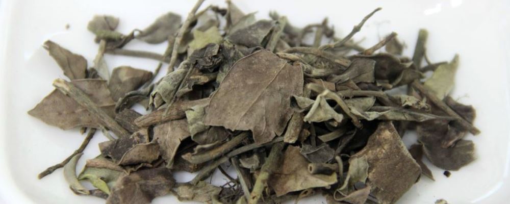 络石藤泡水喝的五大功效，你了解吗？快来知晓~