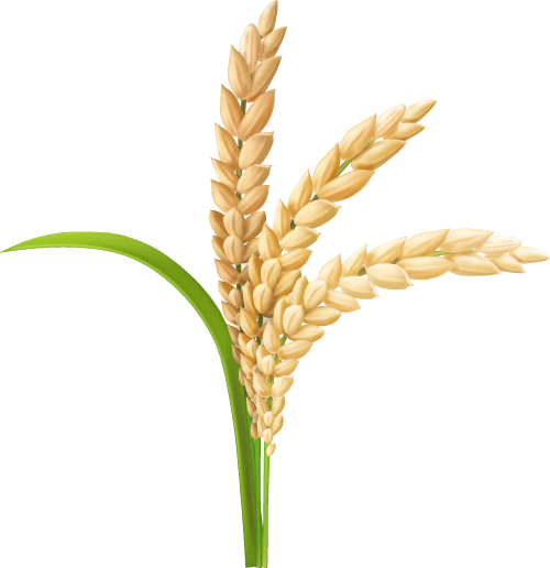 省卫生健康委驻村工作队助力“三夏”