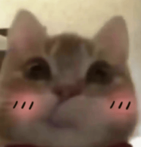 自己都吃不饱，还要被老偶像收割？！