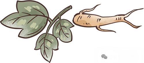 拍八虚：促进老年人健康的简易法宝