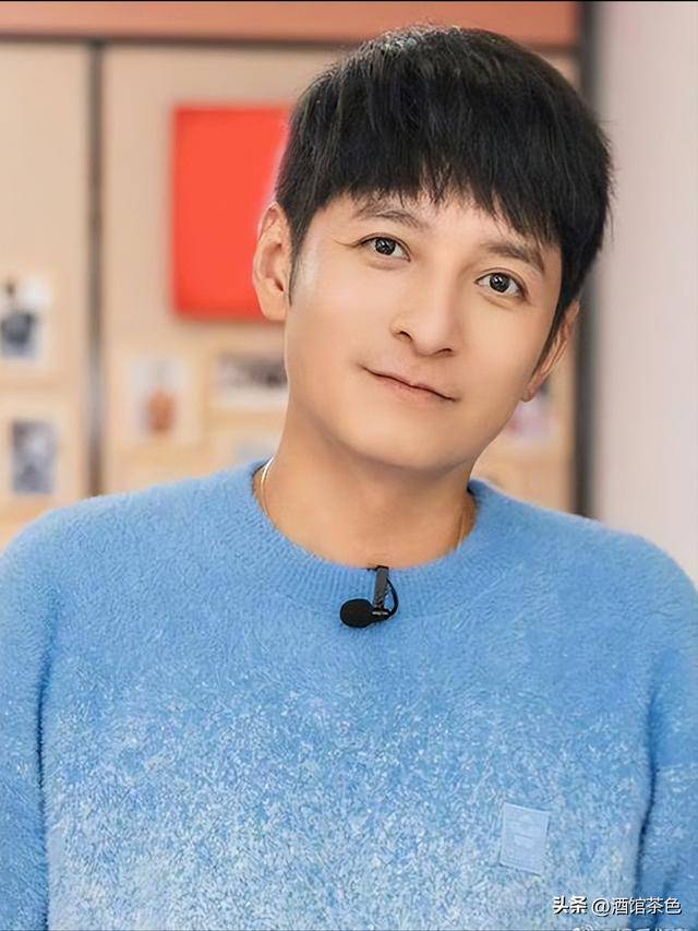 原创            从知名主持人到销声匿迹，复出又被吐槽，李维嘉为何会走到这一步