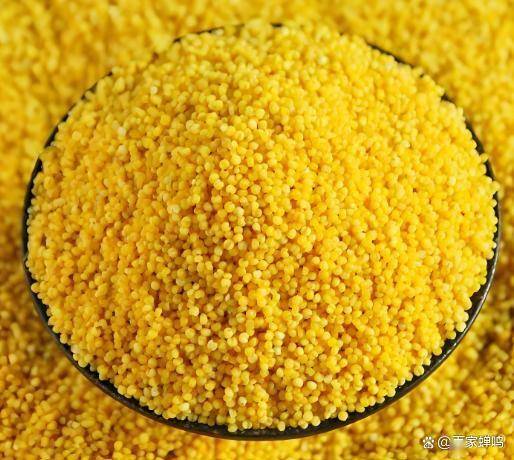 常吃3种粗粮，伤胃，很多人当“养胃宝”，医生却摇头！