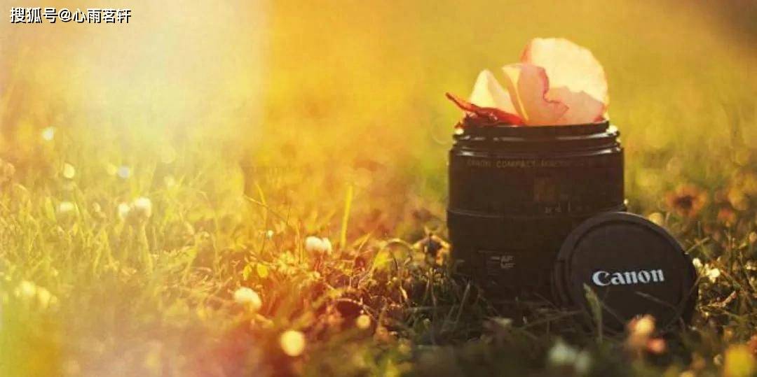 原创            人生中，什么才是治愈一切的良药?