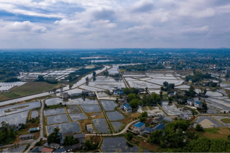 地名里的重庆：古韵大足三驱镇，“竹编之乡”传匠心