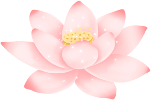 【中医养生】划重点！夏至养生七大维度+N个细节